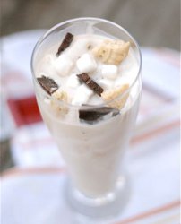 Dairy Queen S'Mores Blizzard