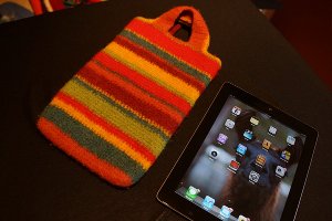 Mini iPad Case