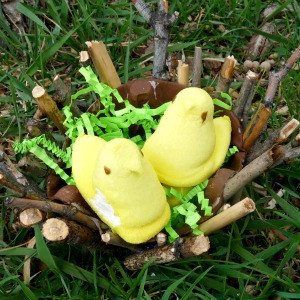 Cheep-Cheep Easter Nest Craft