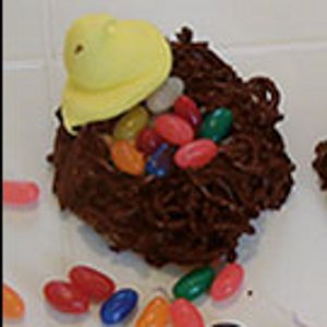 edible bird nest edible bird nest