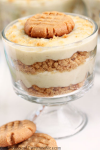 Banana Pudding with Peanut Butter Cookies