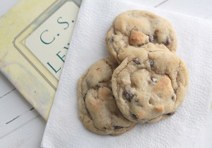 The Best Dessert Recipes: 13 Recipes for Homemade Chocolate Chip Cookies
