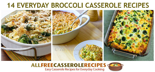 14 Everyday Broccoli Casserole Recipes