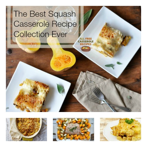 The Best Squash Casserole Recipe Collection Ever: 24 Squash Casserole Recipes