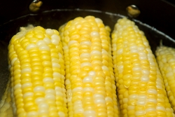 Recipes for Corn Casserole