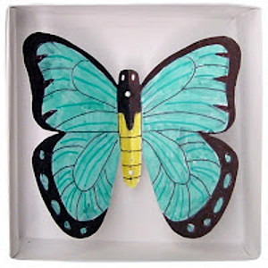 Boxed Butterfly