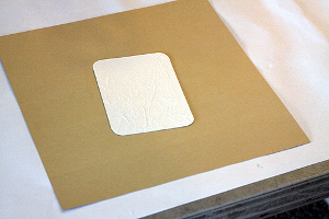 You're a Rare Find Adorable Winter Card
