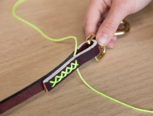 DIY Graphic Leather Dog Leash