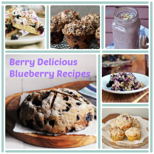 Berry Delicious Blueberry Recipes