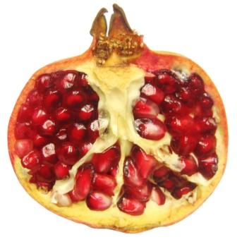 Open Pomegranate Fruit Half