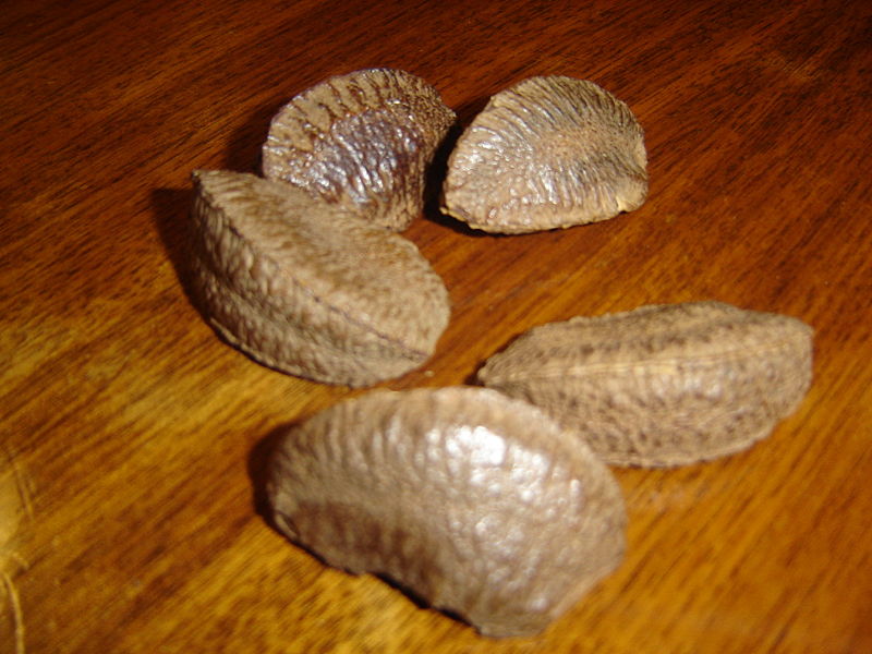 Healthy Brazil Nuts Unshelled