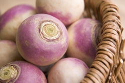 Turnips Picture