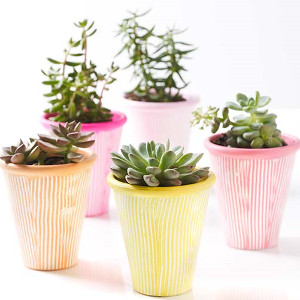 Wonderfully Springlike Terra Cotta Pots