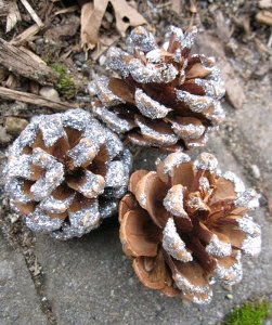 Pine Cone Glitter Ballerinas | FaveCrafts.com