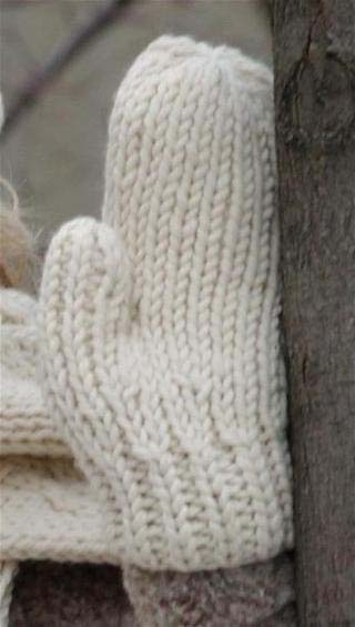 free knitting patterns for mittens on two needles