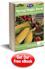 Spring Veggie Recipes: 25 Mouthwatering Spring Vegetable Recipes Free eCookbook