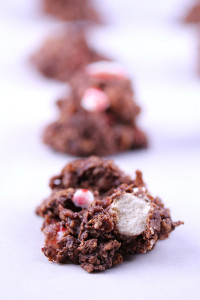 Peppermint Whopper No Bake Cookies
