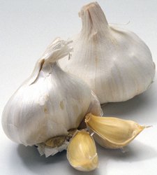 How To Cook And Prepare Garlic